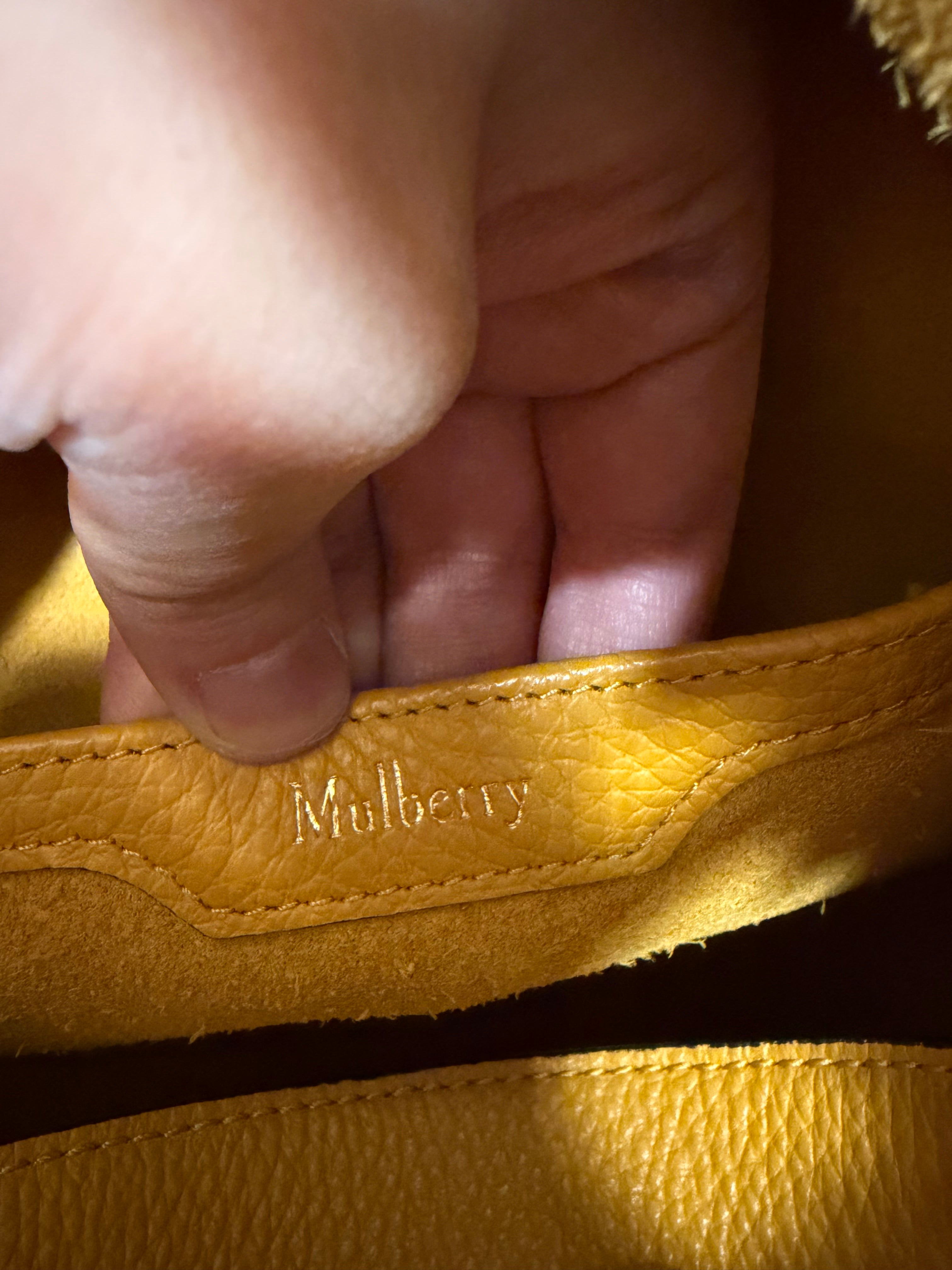 Mulberry bag