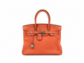 Hermès Birkin 30 in Crevette Togo Leather with Palladium Hardware