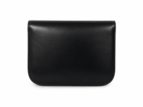 Celine Classic Box bag in Black colour with gold-tone hardware