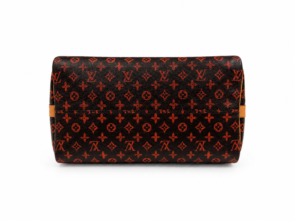 Louis Vuitton x Grace Coddington Speedy Bandouliere 30 Handbag
